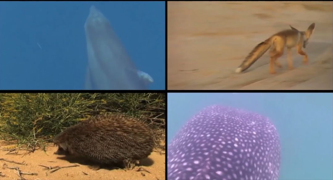 首页-PA真人集团有限公司官网