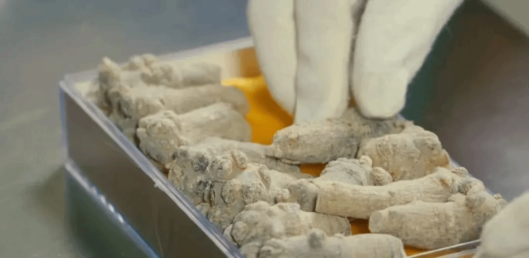 首页-PA真人集团有限公司官网