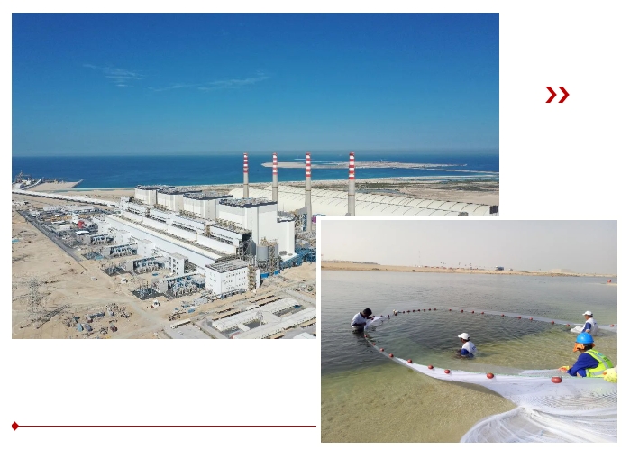 首页-PA真人集团有限公司官网