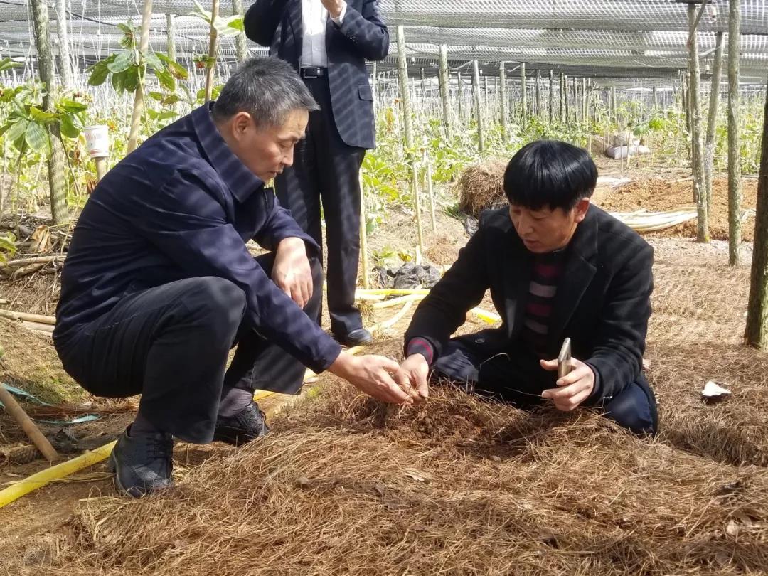 首页-PA真人集团有限公司官网
