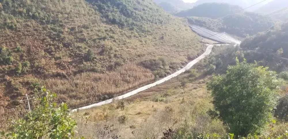 首页-PA真人集团有限公司官网