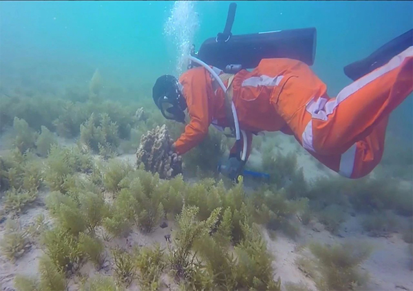 首页-PA真人集团有限公司官网