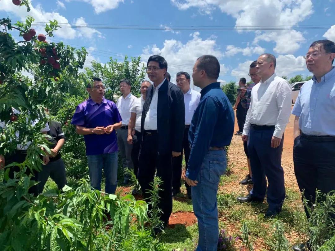 首页-PA真人集团有限公司官网