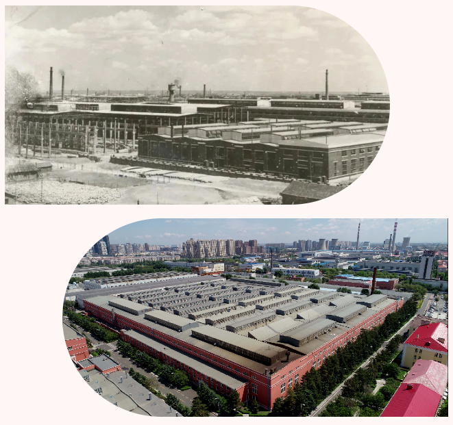 首页-PA真人集团有限公司官网