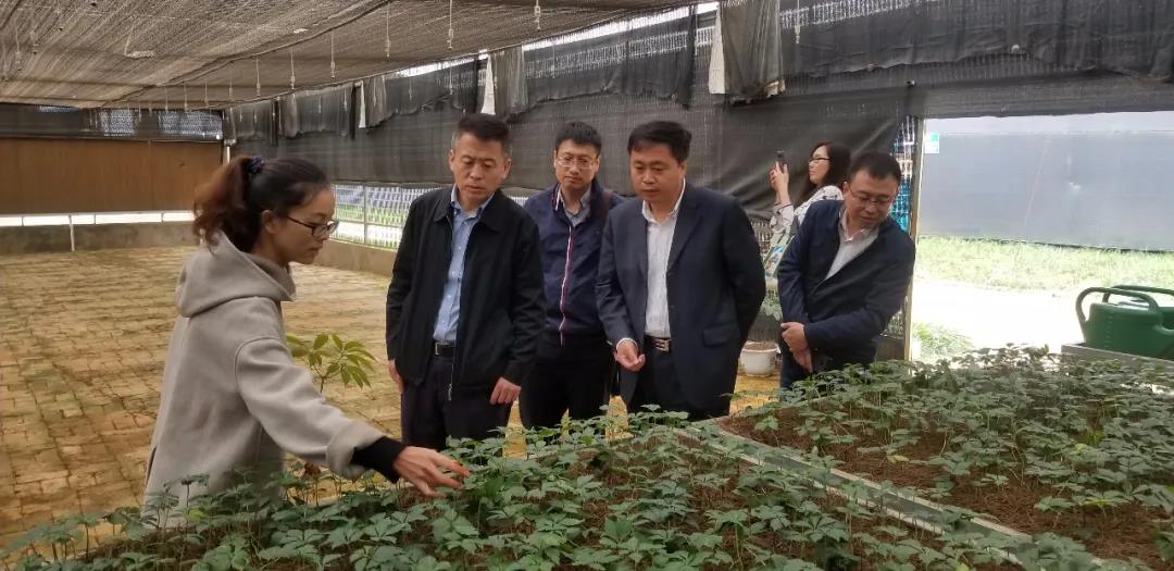 首页-PA真人集团有限公司官网