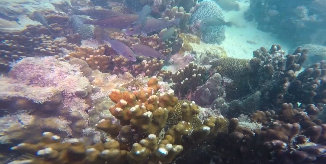 首页-PA真人集团有限公司官网