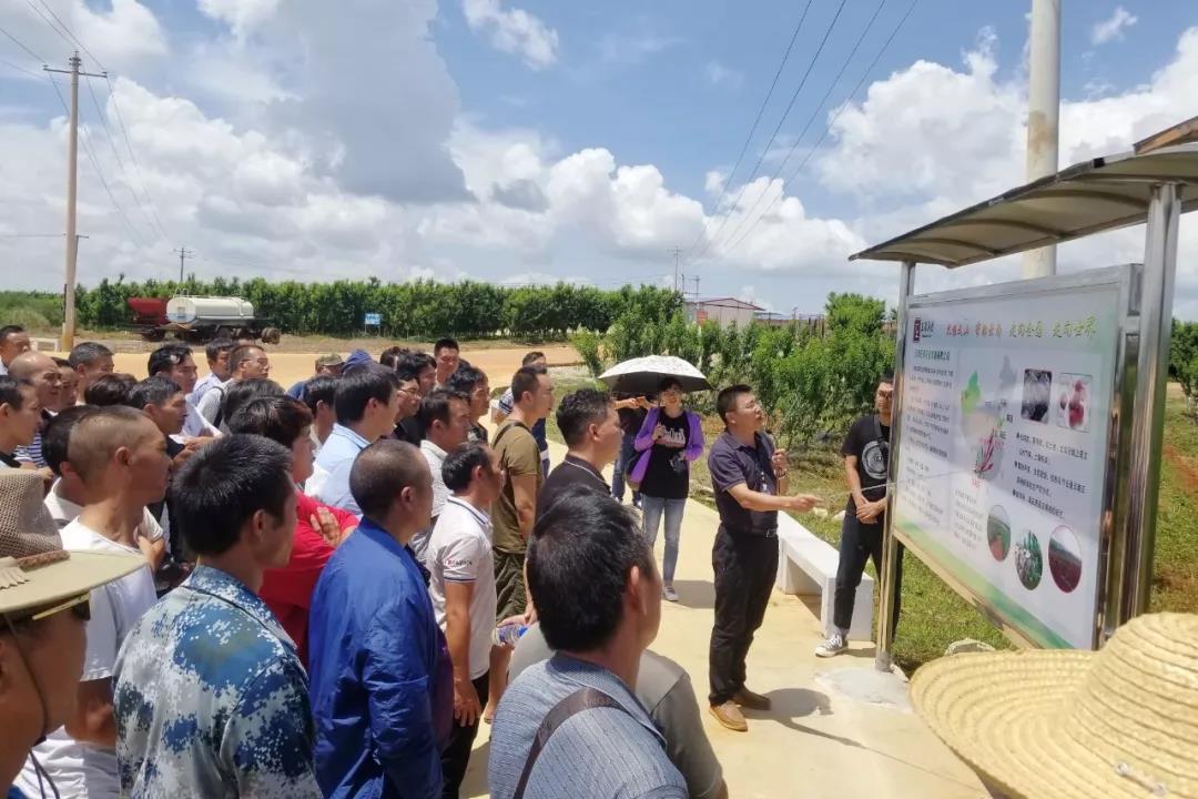 首页-PA真人集团有限公司官网