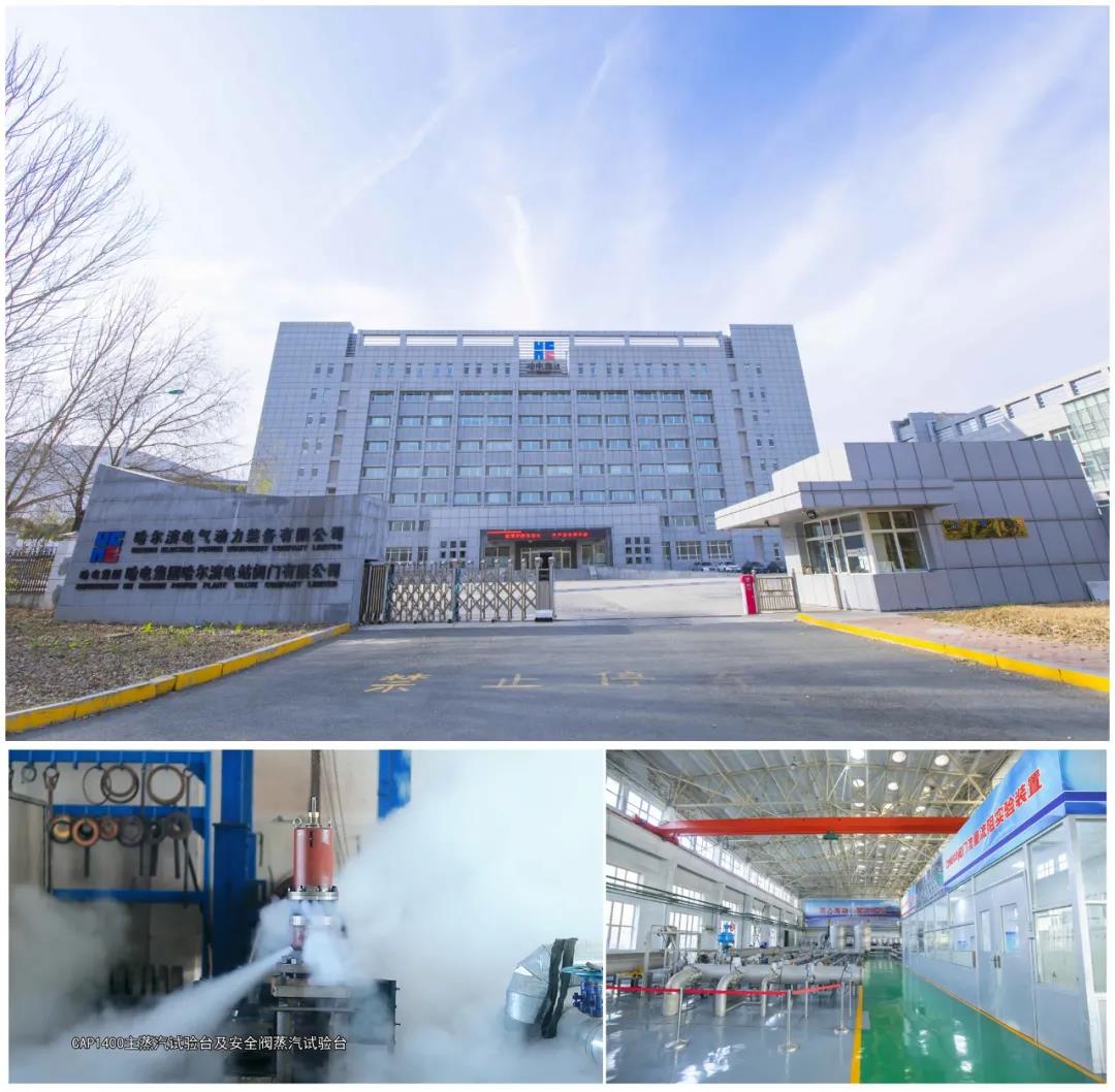 首页-PA真人集团有限公司官网